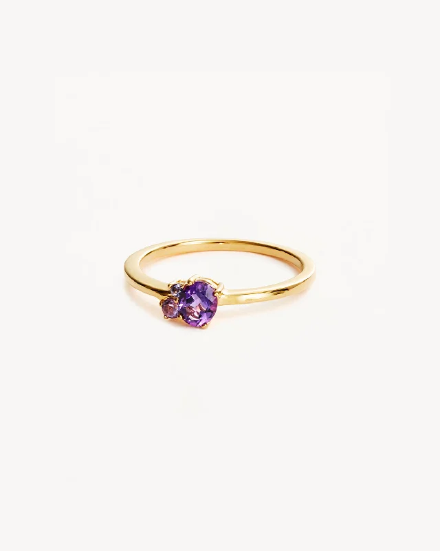 Adjustable Charm Bracelets For A Perfect Fit 18k Gold Vermeil Kindred Birthstone Ring - February