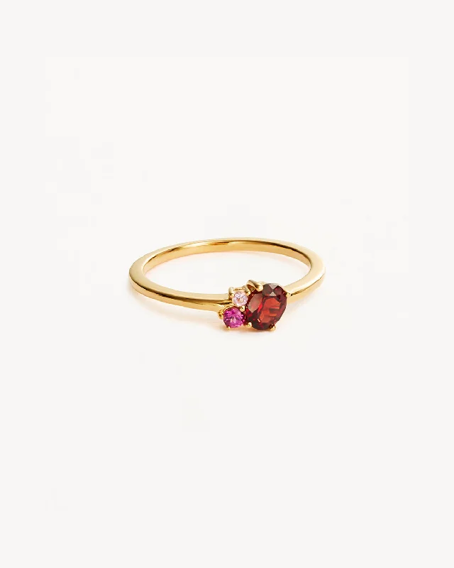 Limited-Time Offer On Premium Jewelry Collections 18k Gold Vermeil Kindred Birthstone Ring - January