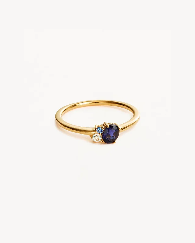 Must-Have Jewelry Pieces At Reduced Prices 18k Gold Vermeil Kindred Birthstone Ring - September