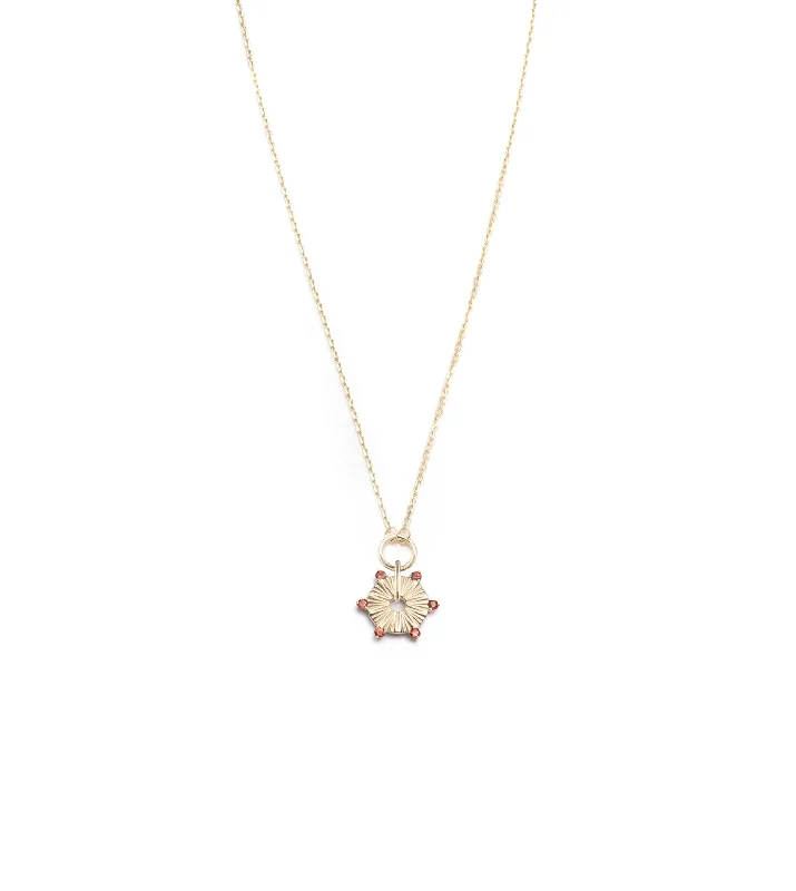 Dazzle With Discounts – Shop Jewelry On Sale Garnet Element Disk Drop Necklace