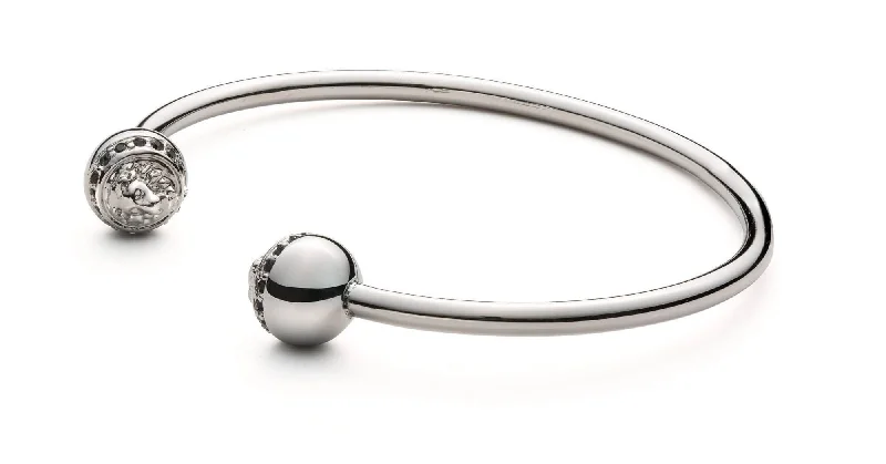 Exclusive Online Jewelry Sale – Don't Wait Silver Lion Bangle