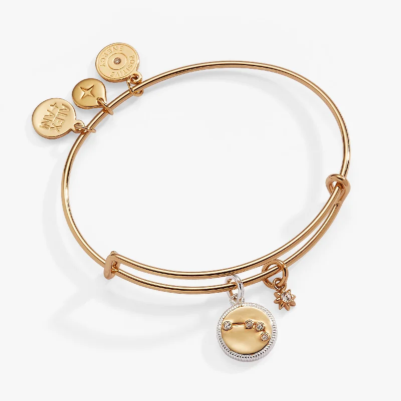 Aries Zodiac Charm Bangle