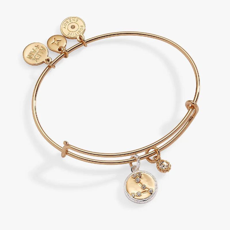 Pisces Zodiac Charm Bangle