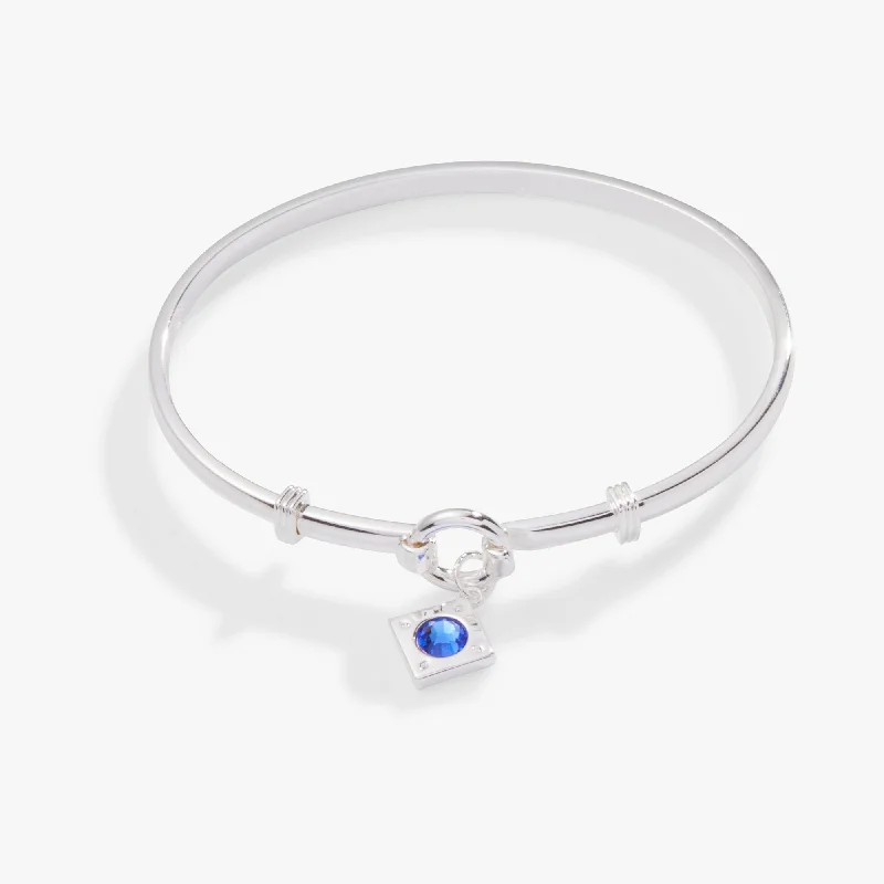 Huge Savings On Premium Jewelry Styles Crystal Charm Clip Bangle, Sapphire