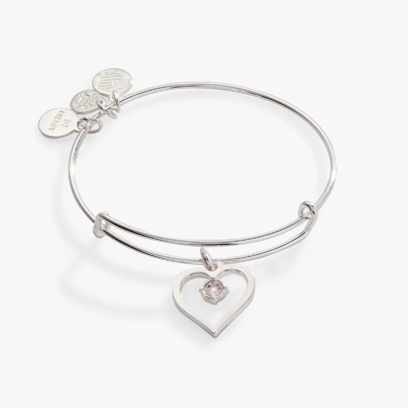 Exclusive Jewelry Bundles At Discounted Prices Crystal in Heart Charm Bangle Bracelet